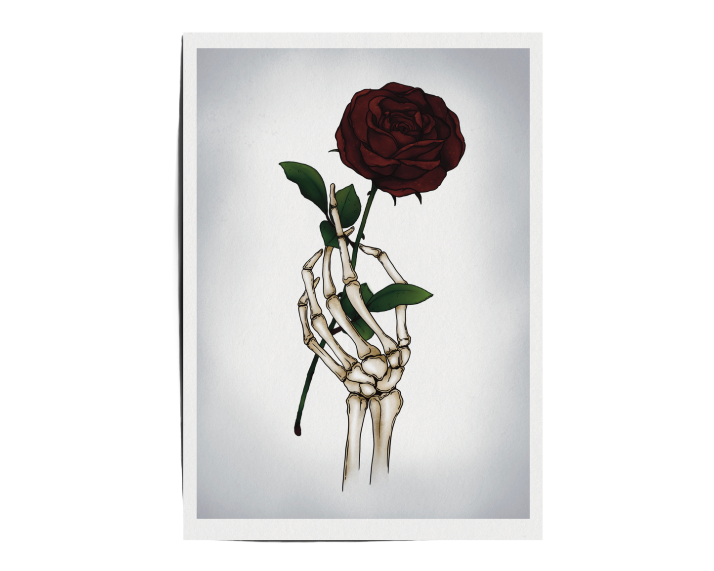 Without – The Skeleton’s Rose